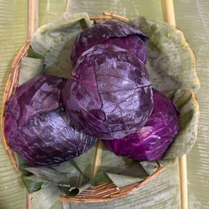 ស្ពៃក្ដោប ពណ៍ស្វាយ