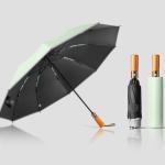 Umbrella