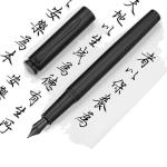 Pen