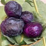 ស្ពៃក្ដោប ពណ៍ស្វាយ